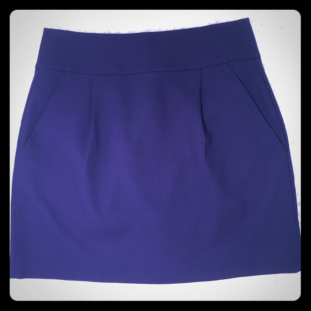Theory Blue Skirt Size 10